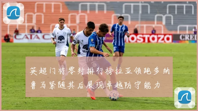 英超门将零封排行榜拉亚领跑多纳鲁马紧随其后展现卓越防守能力